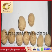 The Greatest and Best Quality Walnut in Shell